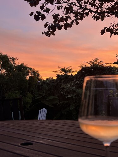 Beech Tree Cottage - comfortable, warm and stylish Taupo base, free wifi!