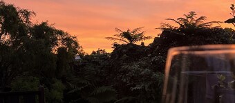 Beech Tree Cottage - comfortable, warm and stylish Taupo base, free wifi!