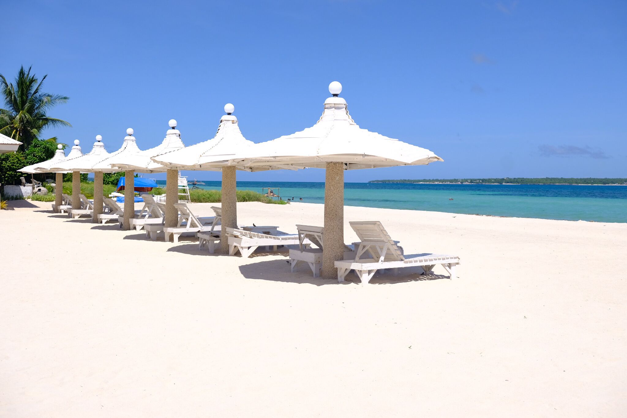 A beach with white umbrellas and lounge chairs aligned along the shore.