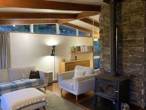 Fernseher, Kamin, DVD-Player, Bücher