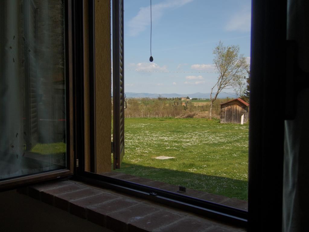 Blick auf den Garten