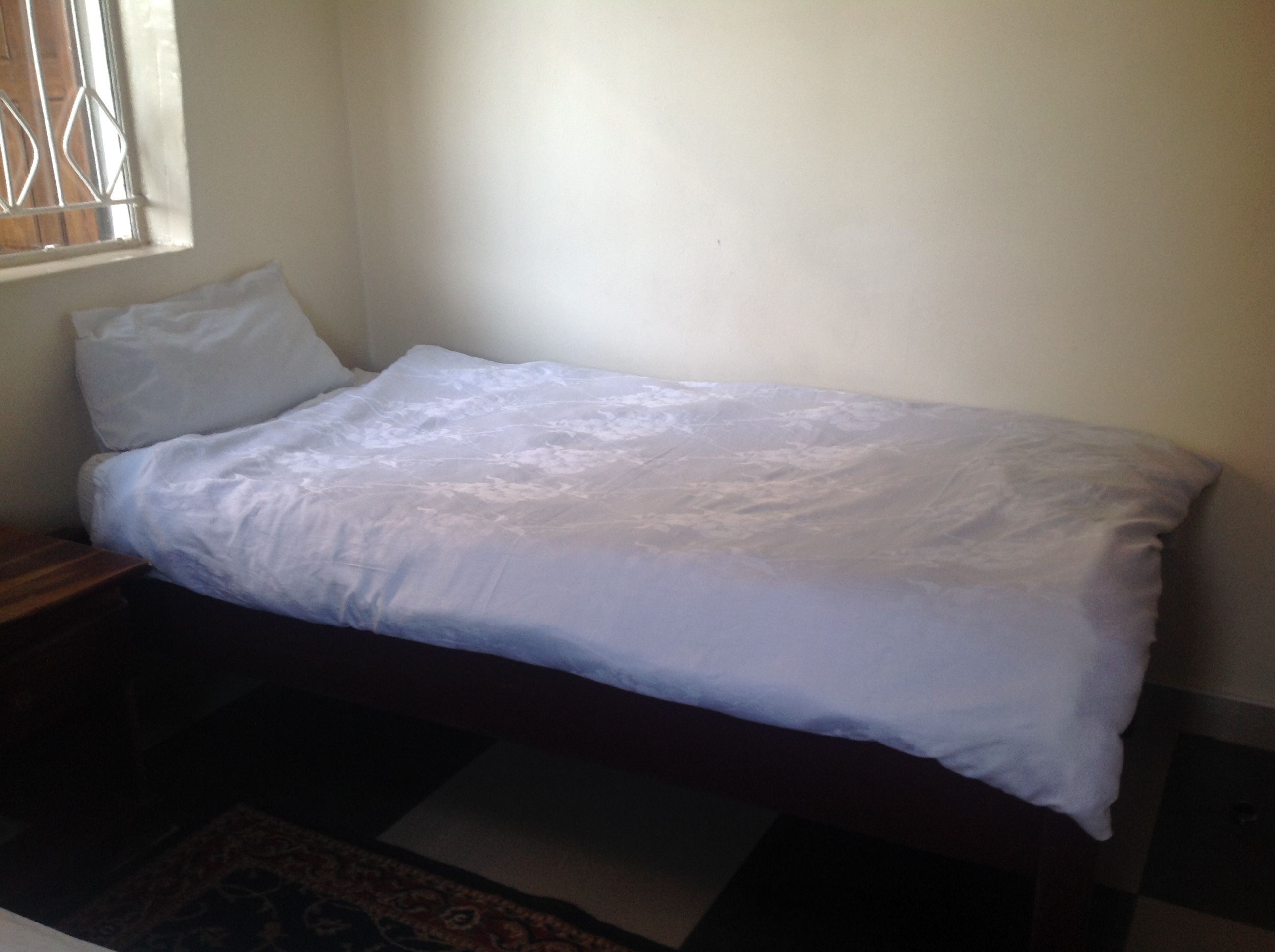 A single bed with white bedding in a room with a window and a patterned rug.