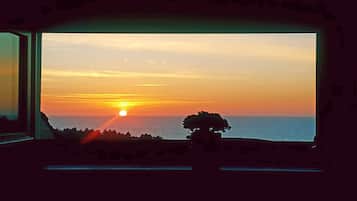 Sonnenuntergangblick vom Fenster auf eine Küstenlandschaft mit einer Baumsilhouette.