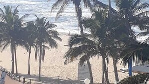 A beach with palm trees and a fenced area with benches. - Beach Mansion 1 (Margate)