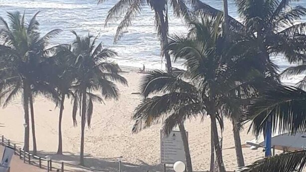 A beach with palm trees and a fenced area with benches. - Beach Mansion 1 (Margate)