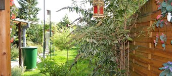 Cottage garden view