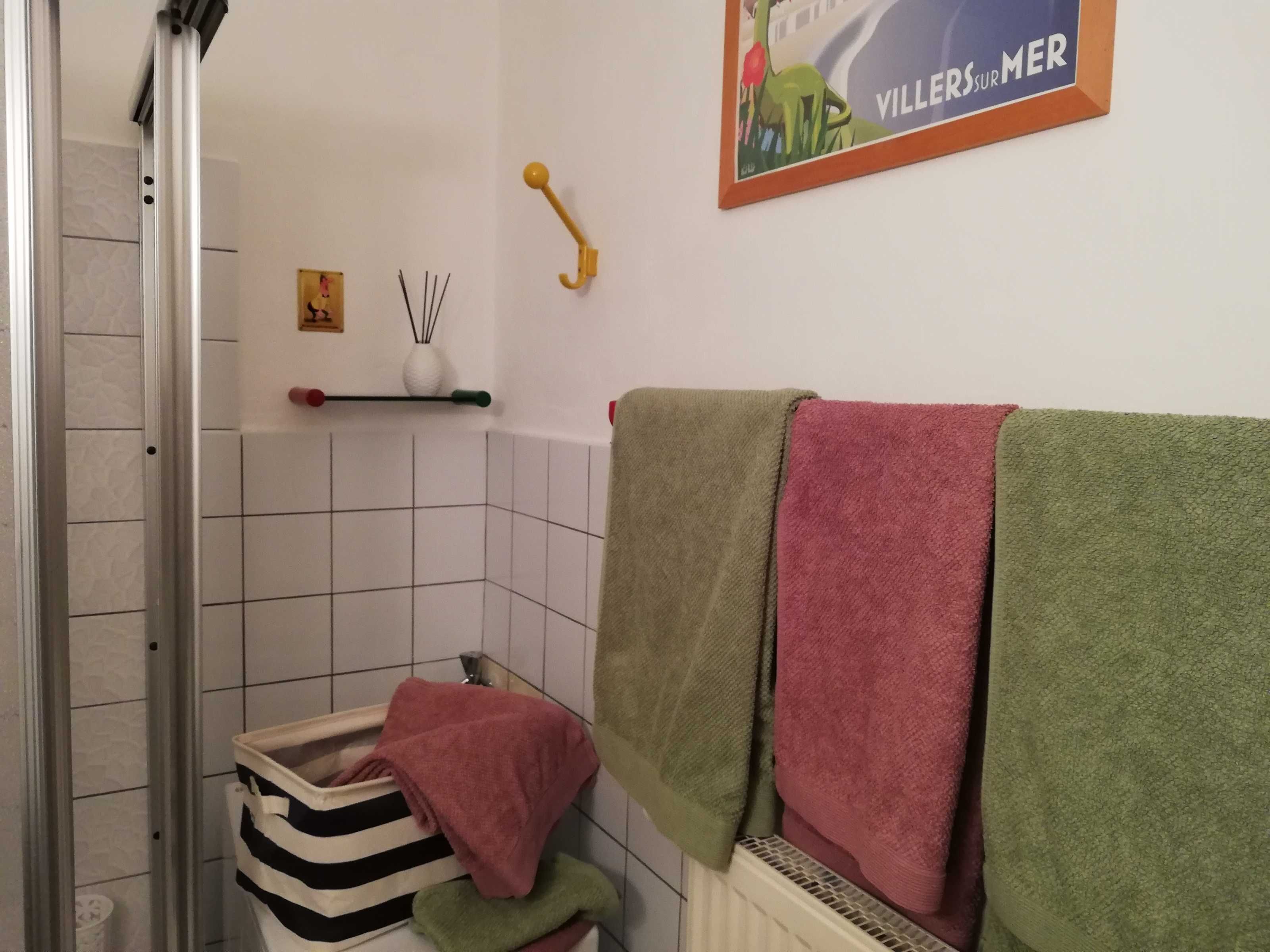 Dusche, Haartrockner, Handtücher