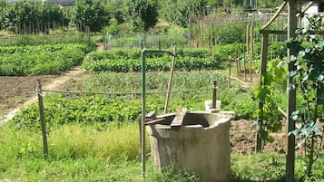 Double Room (Camera 1) | Garden view