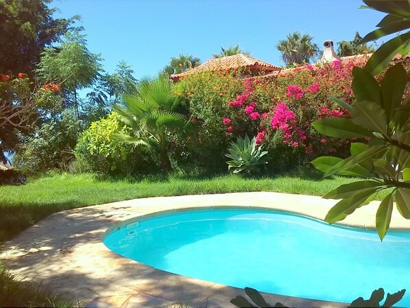 A swimming pool surrounded by lush greenery and vibrant flowers.
