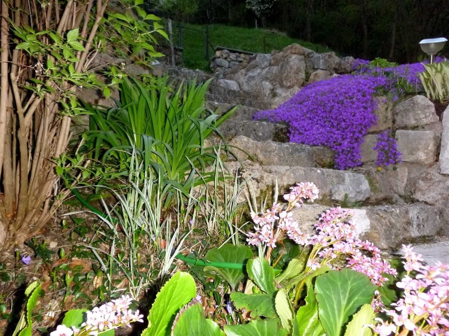 Ein Garten mit verschiedenen Pflanzen, darunter lila Blüten und grüne Blätter, einer Steinmauer und einem Baumstamm.