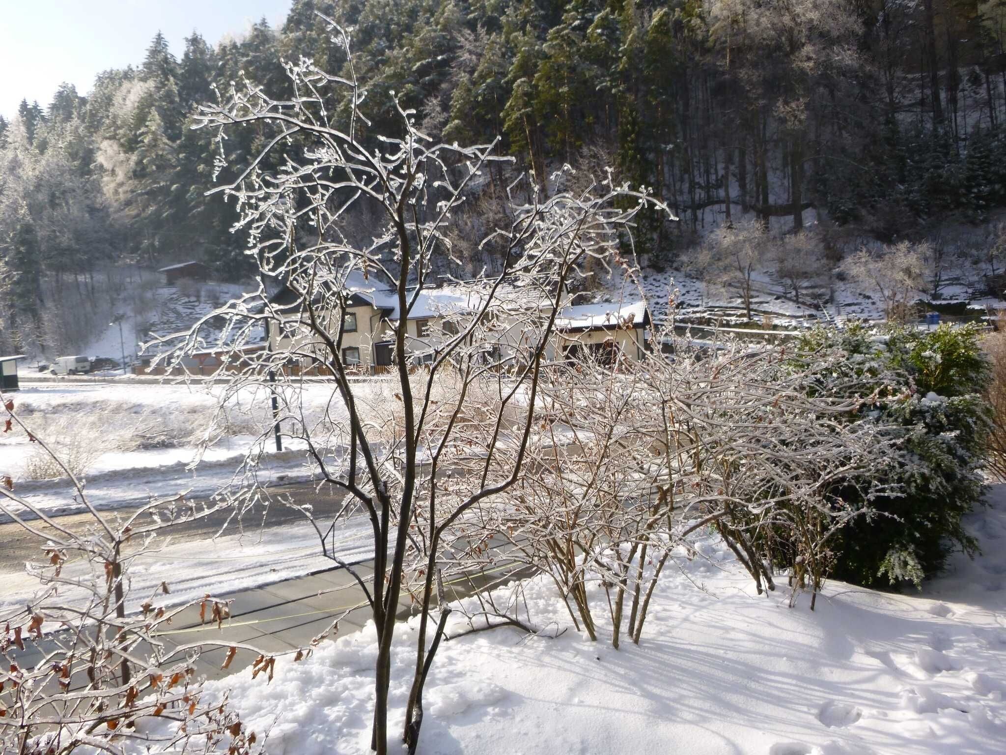 Schneebedeckte Landschaft mit kahl stehenden Bäumen und einem Gebäude im Hintergrund.