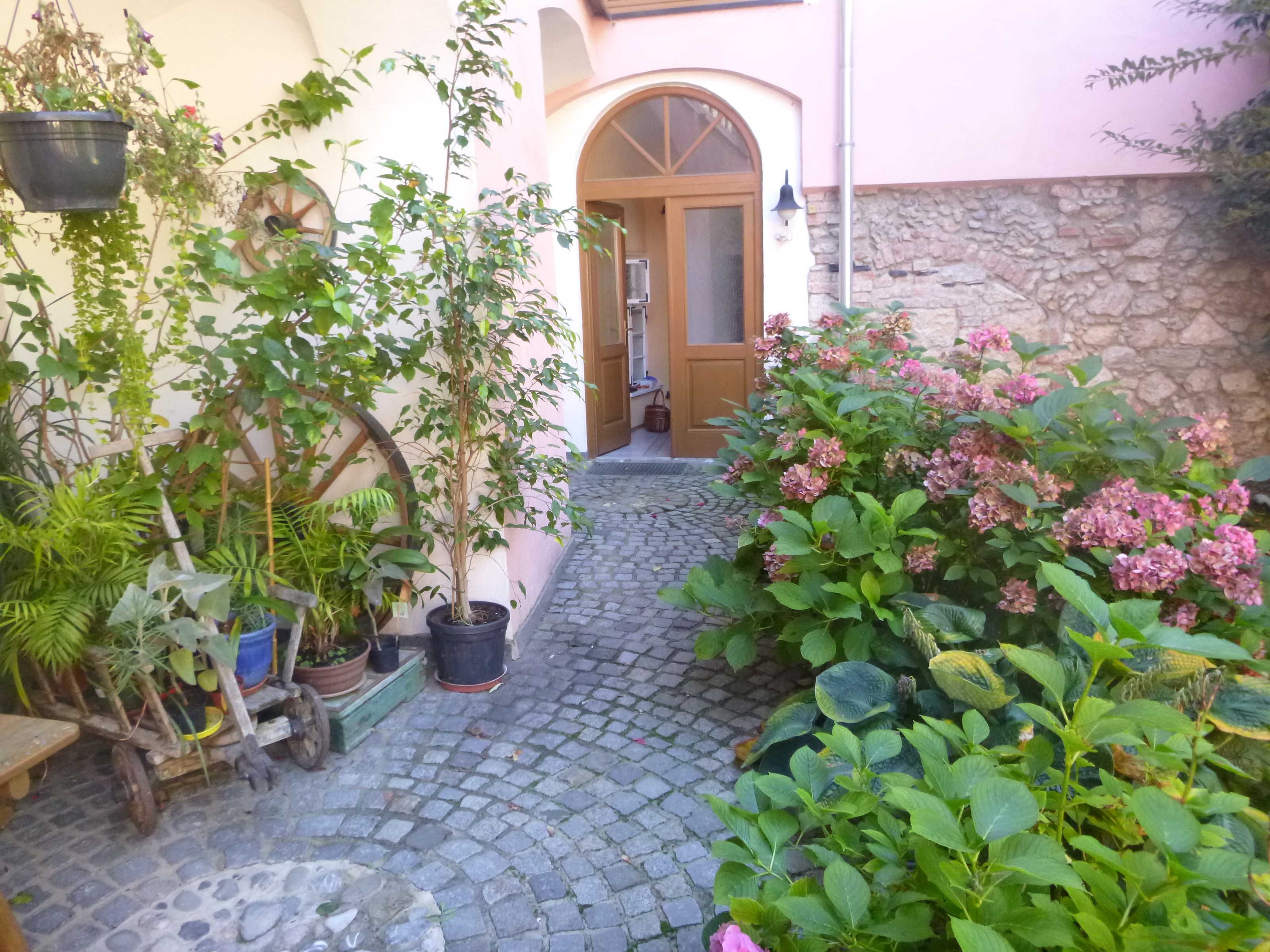 Ein Innenhof mit Topfpflanzen, einem Pflasterweg und einer Holztür.