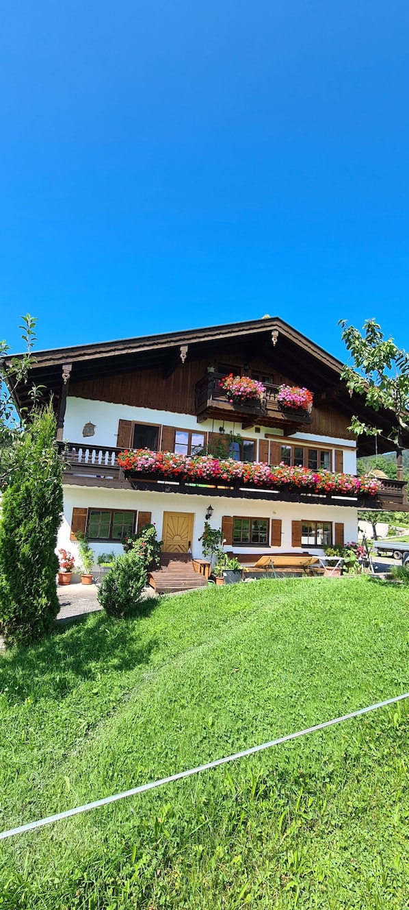 Unclassified image, 1 of 17, button