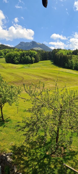 Unclassified image, 4 of 17, button