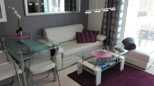 TV, DVD player, books
