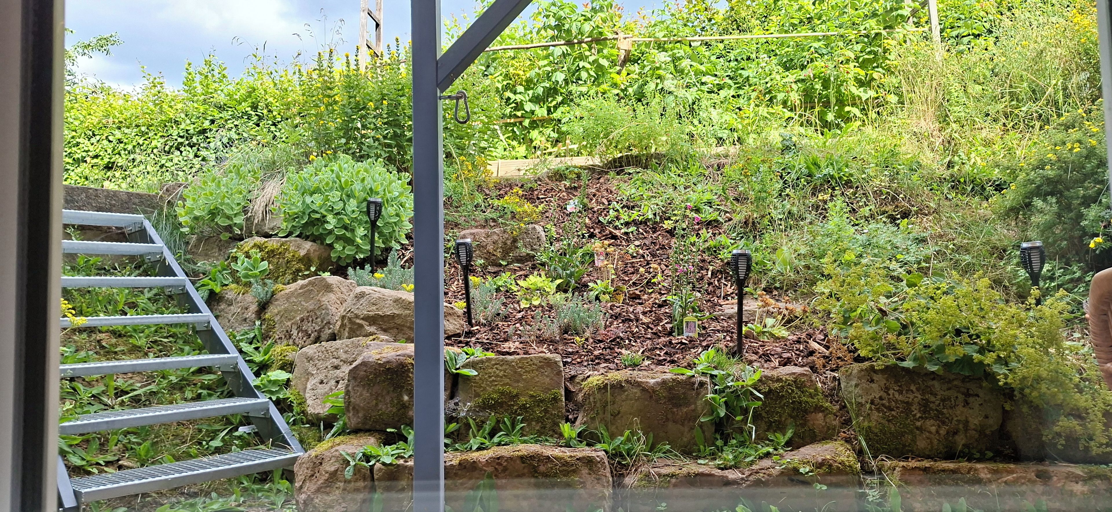 A garden with a metal staircase leading to a rock formation, surrounded by various plants and a small water feature.