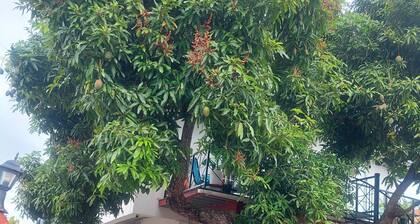 HUGE studio apartment