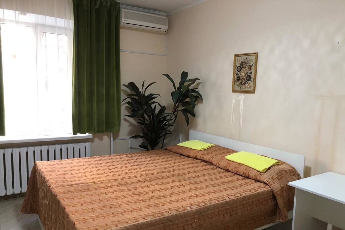 A room with a bed, a bedside table, a radiator, a window with curtains, and a potted plant.