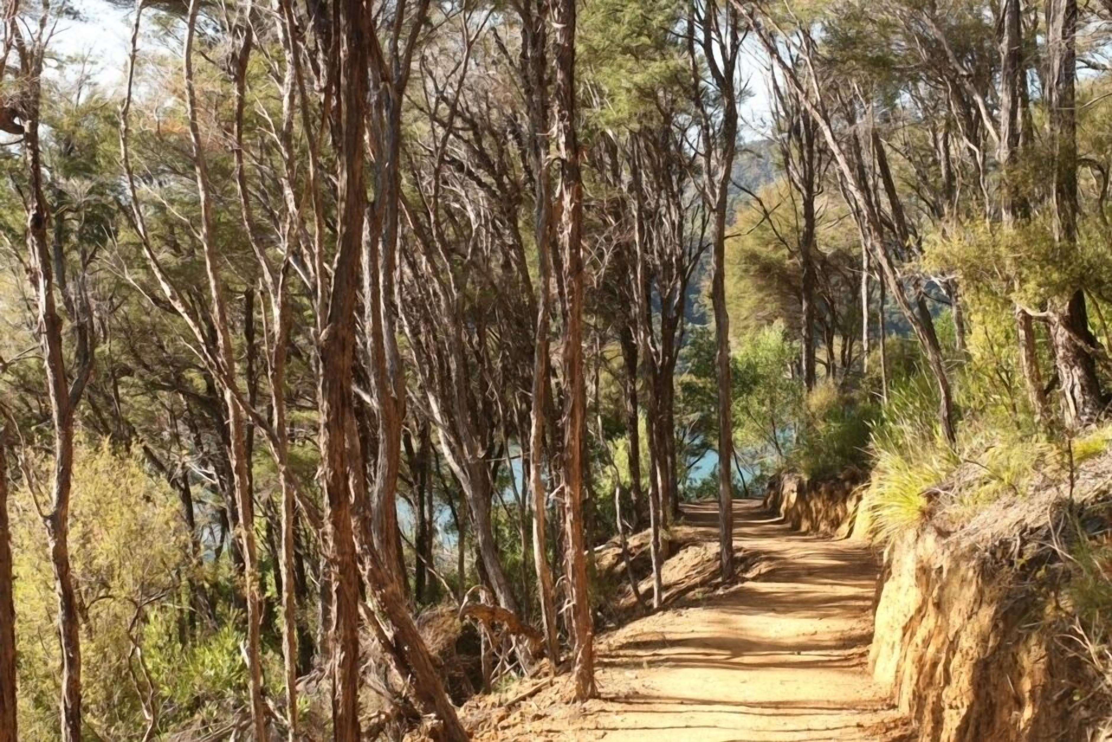 Link pathway 3 km walk or bike to Momorangi
