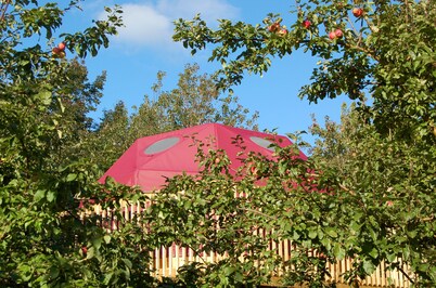 Apple Dome at Cabot Shores Wilderness Resort