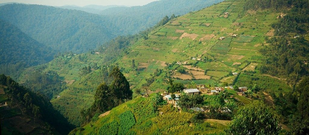 A terraced hillside with small buildings and lush greenery.
