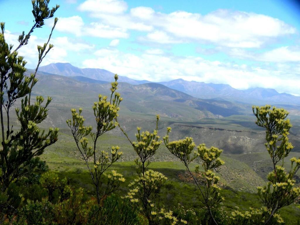 A mountainous landscape with sparse vegetation and distant mountains.