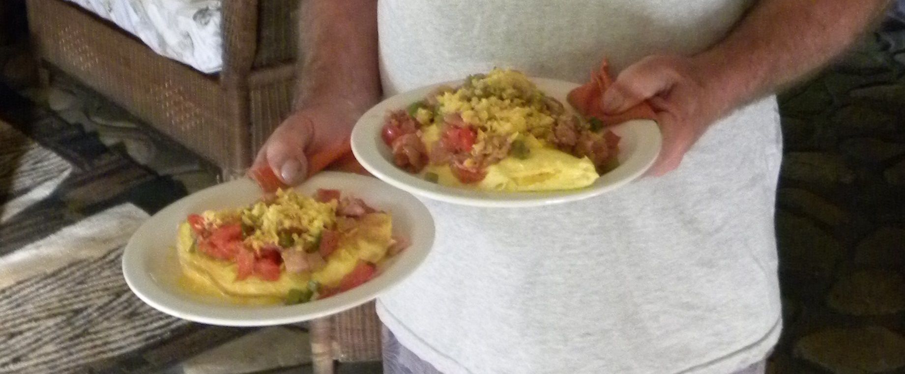 A person holding two plates of food, one with scrambled eggs and the other with a similar dish.