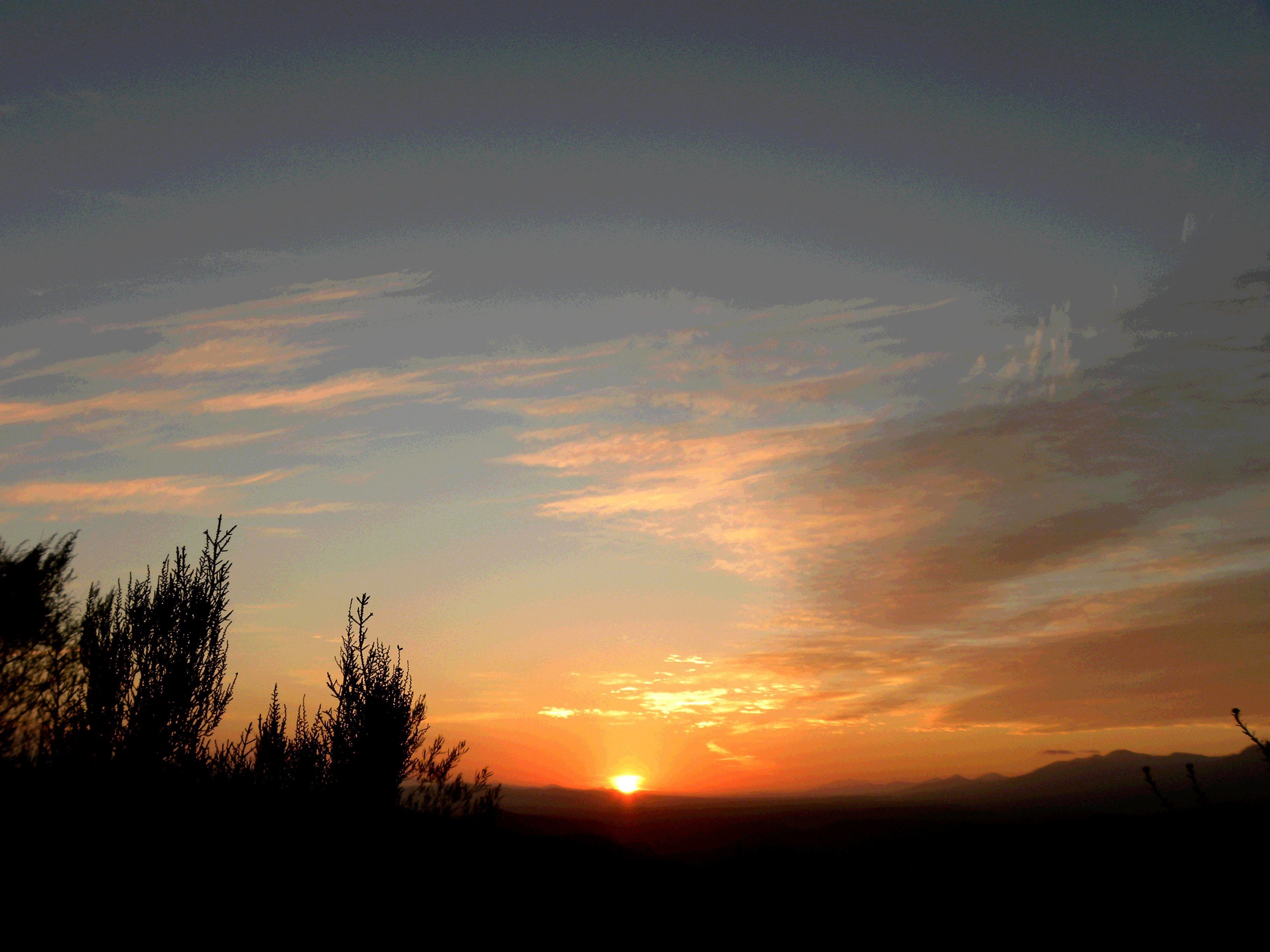 Un coucher de soleil sur un paysage montagneux, avec les silhouettes d’arbres.