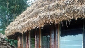Ảnh chưa phân loại, 5 trong số 17 ảnh, nút