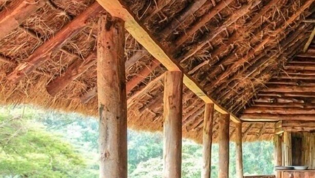 Ảnh chưa phân loại, 1 trong số 17 ảnh, nút