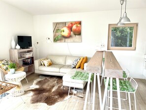 TV, DVD player, books, video library
