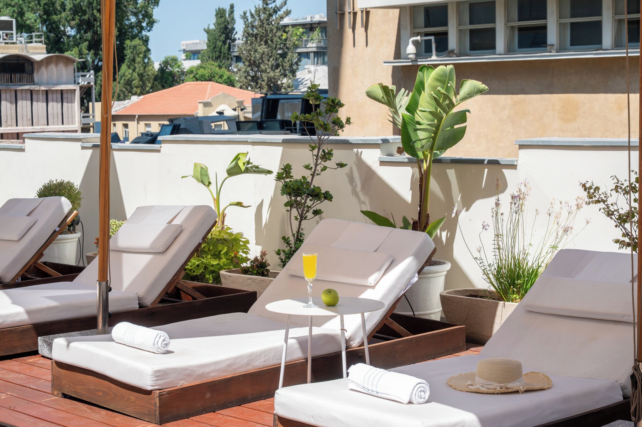 Un área de lounge en la azotea con sillones de sol, plantas en macetas y una mesa con una bebida y una manzana.