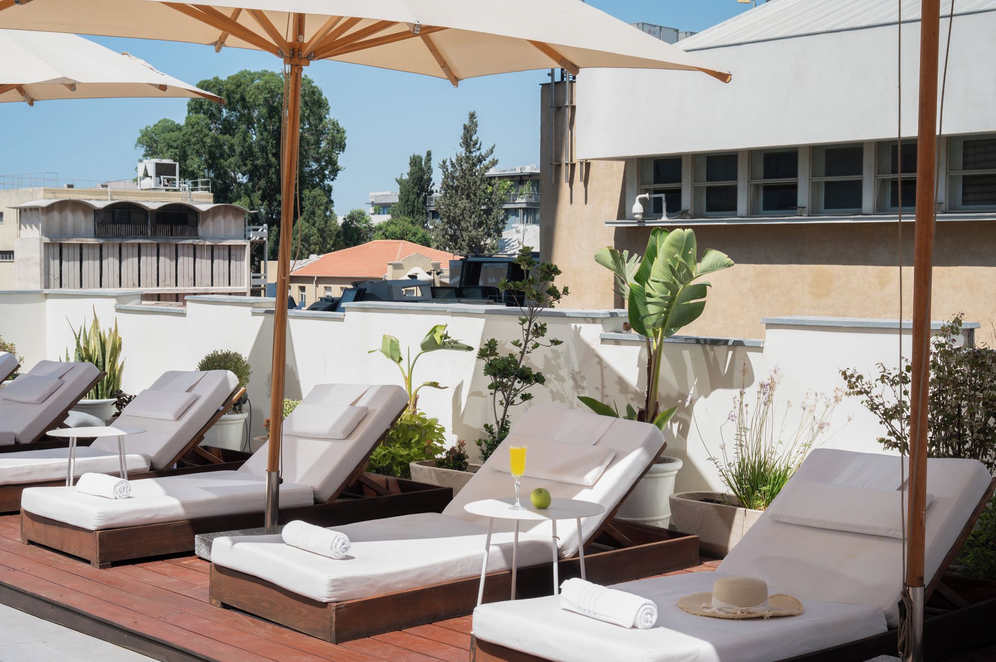 A rooftop lounge area with sun loungers, umbrellas, and potted plants.