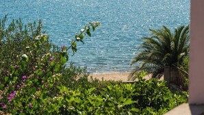 A beach with clear blue water, palm trees, and lush greenery.
