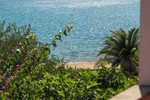 A beach view with palm trees and greenery.