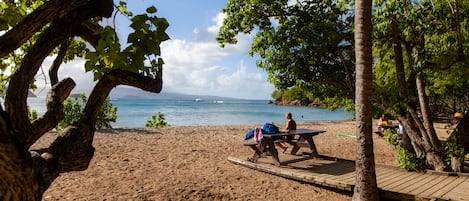 Playa en los alrededores
