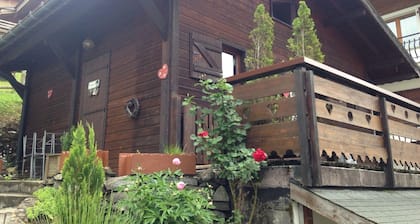 Pieni 40m2 kokooja-chalet 2 makuuhuonetta (2 tai 3 henkilöä) MORZINE