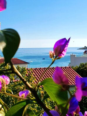 A coastal view with a building featuring a red-tiled roof and a clear blue sky.