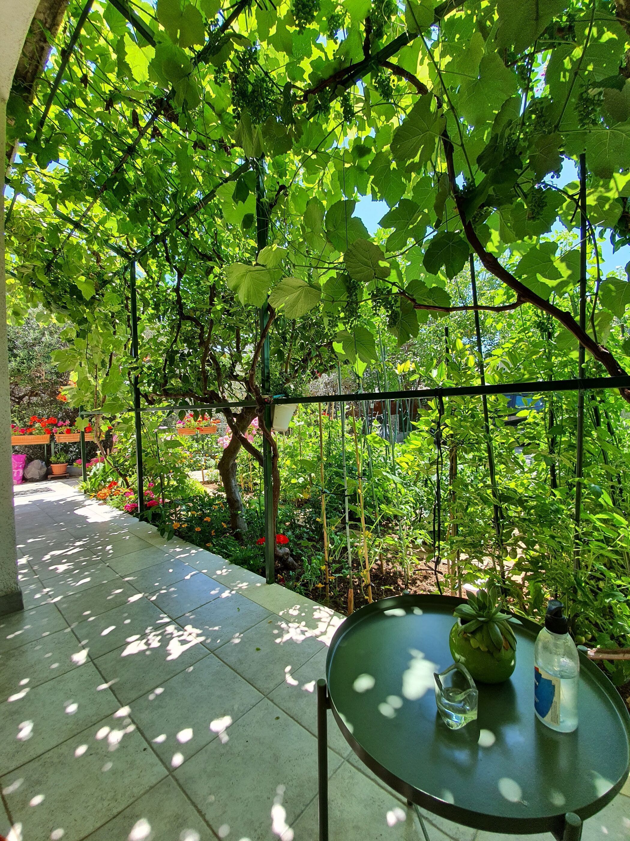 Appartement (A1) | Vue aérienne