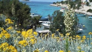 A coastal area with boats docked along the shore, surrounded by greenery and yellow flowers.