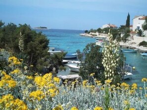 A coastal area with boats docked, trees, and buildings.
