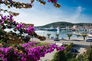 Apartment (A1) | Aerial view