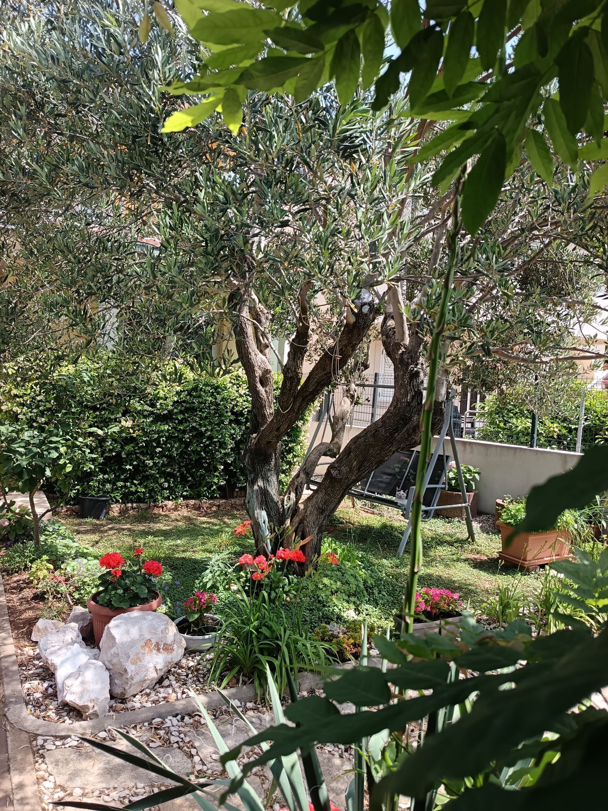 Departamento (A4) | Detalle exterior