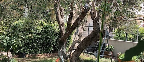 公寓 (A4) | 外观细节