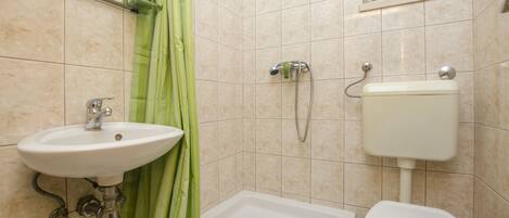 Une salle de bain avec un lavabo, des toilettes et une douche.