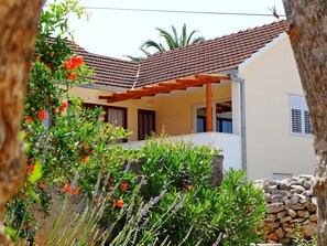 Building design - House Lara (Jelsa)