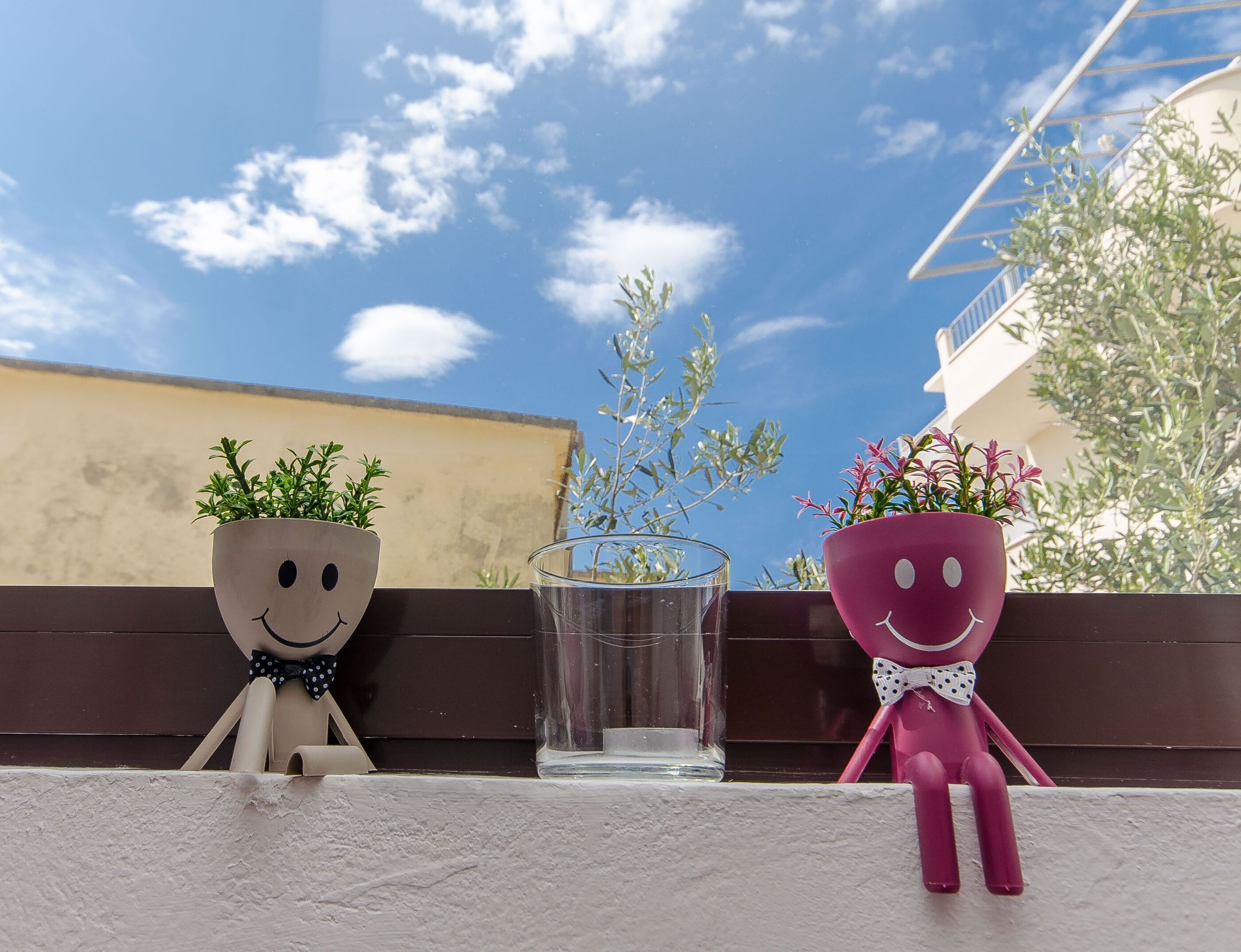 Two potted plants with smiling faces on a balcony.