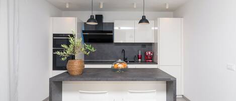 Apartment (A1) | Private kitchen | Fridge, microwave, oven, stovetop