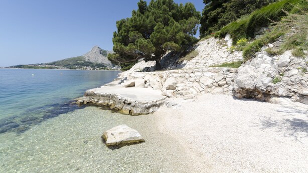 A coastal landscape with clear waters, rocky terrain, and a prominent tree. - Apartment Smiljana (Omis)