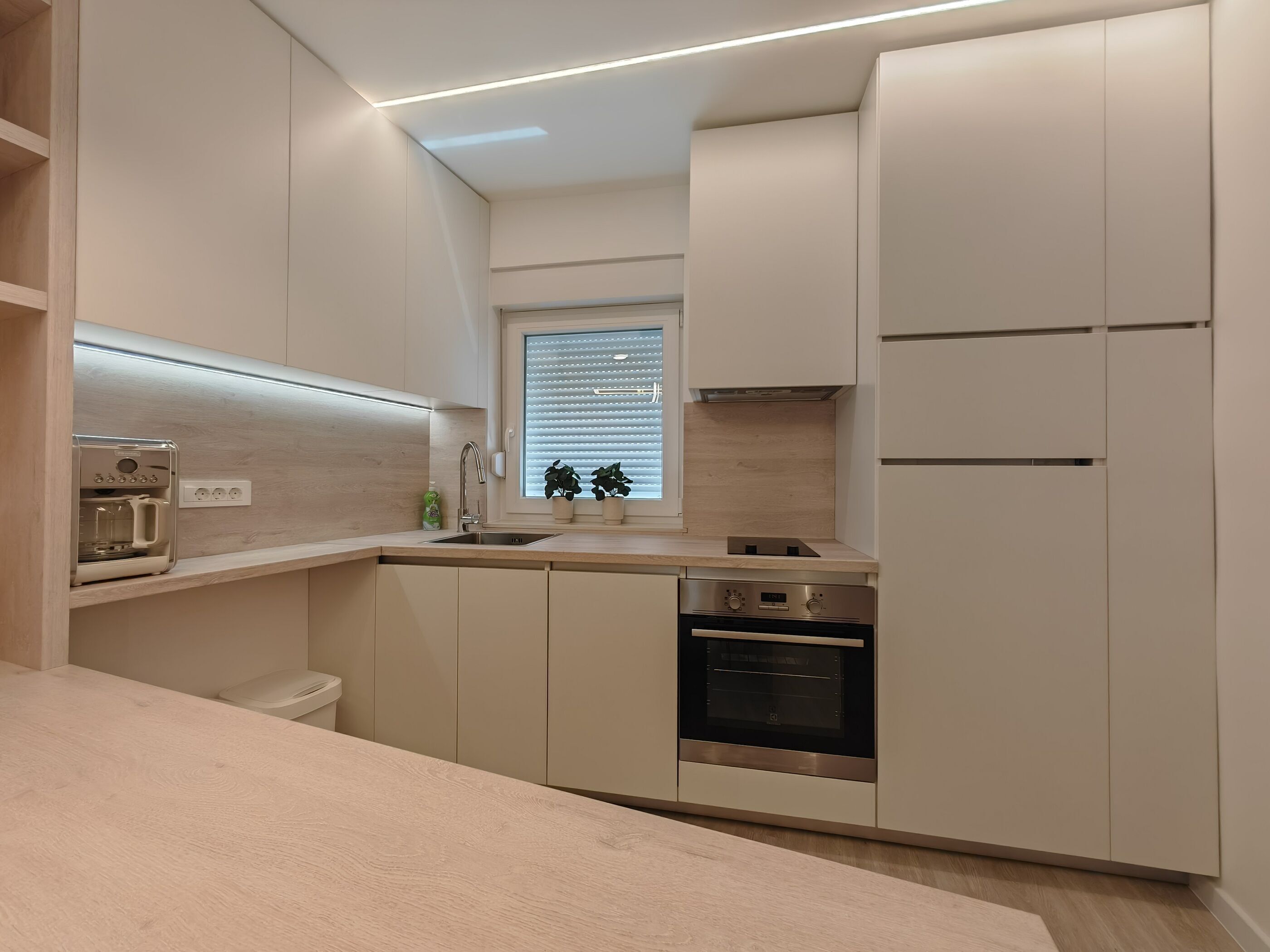 Apartment (A1) | Private kitchen | Fridge, stovetop, coffee/tea maker